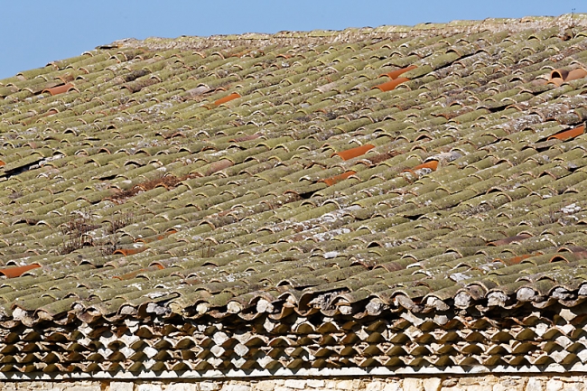 Chartreuse de Valbonne-042
